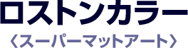 XgJ[